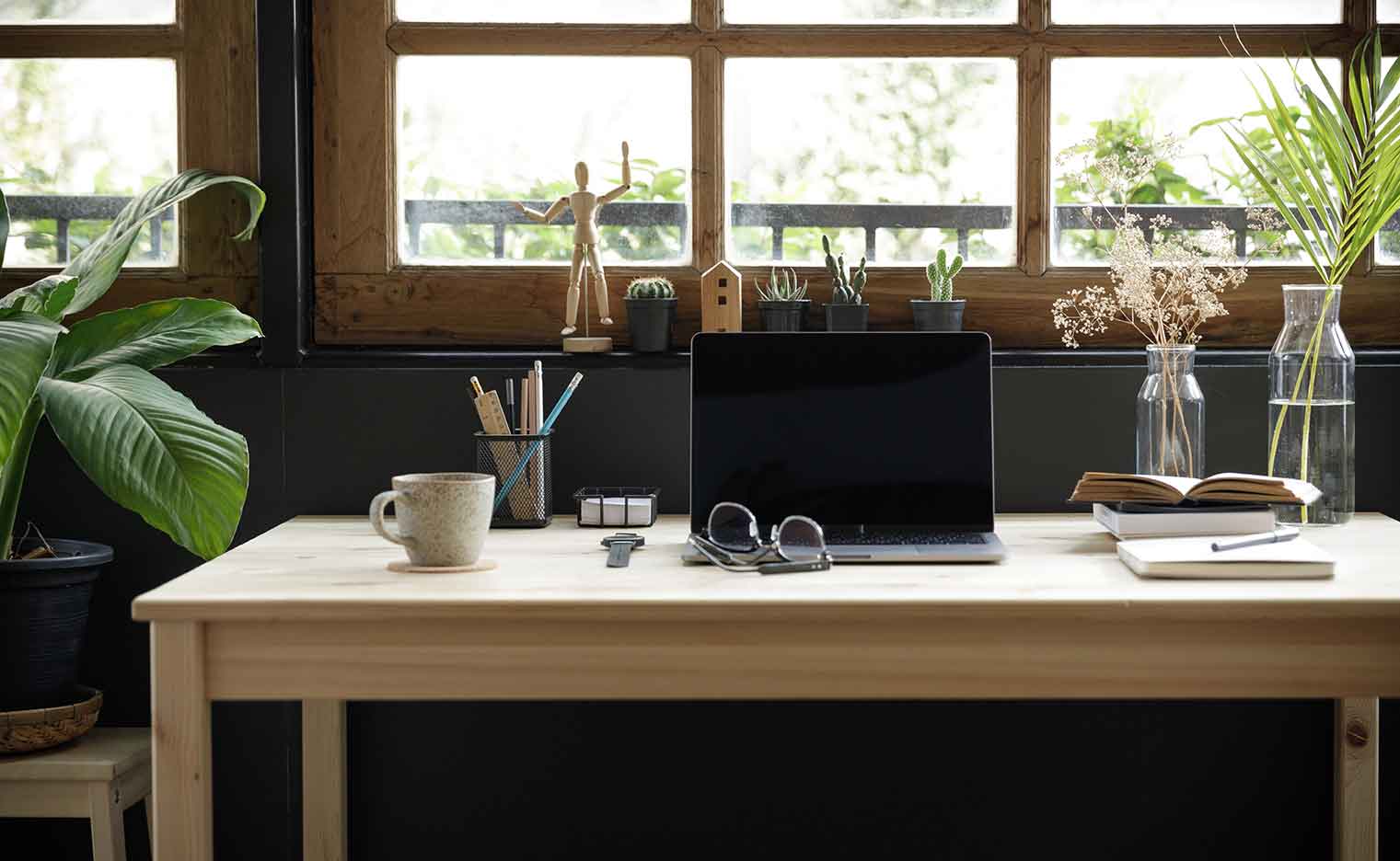 Home Office Plants can help improve your productivity