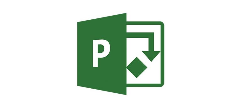 Microsoft 365 Manual Microsoft Project NECL